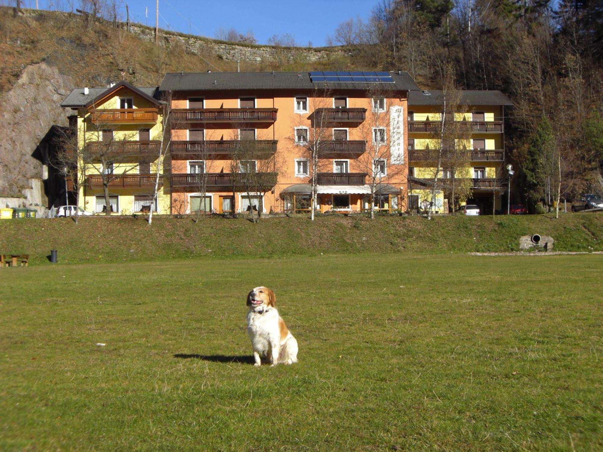 Hotel Miramonti Bedollo Exteriér fotografie